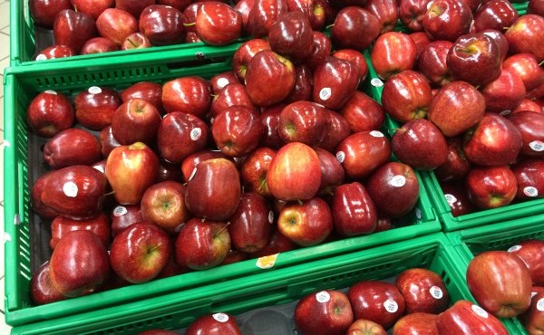 Red Delicious Apple Price per KG
