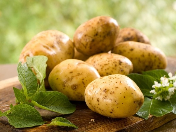 Potato Price per KG