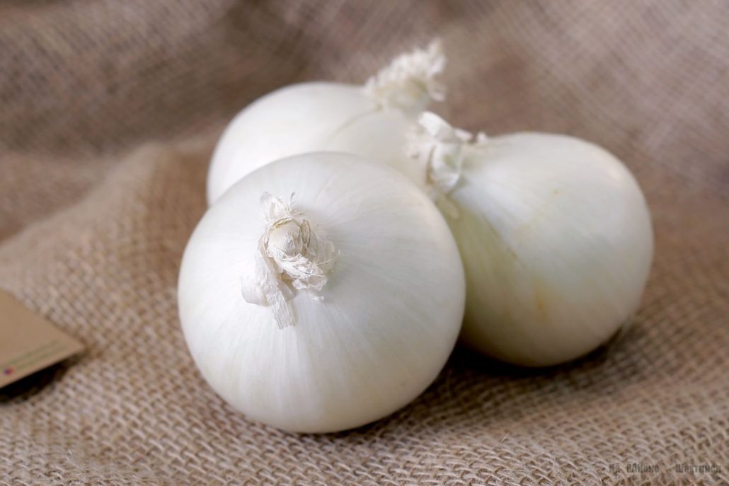 White Onion Buy Online