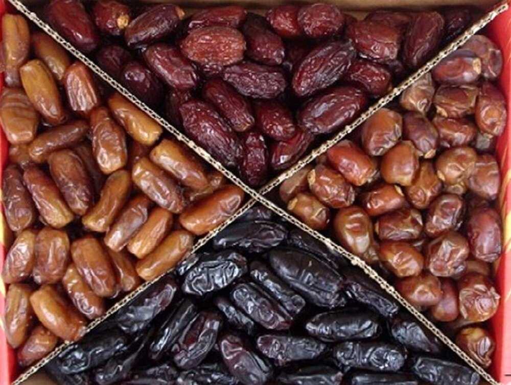 Types of Dates Fruit