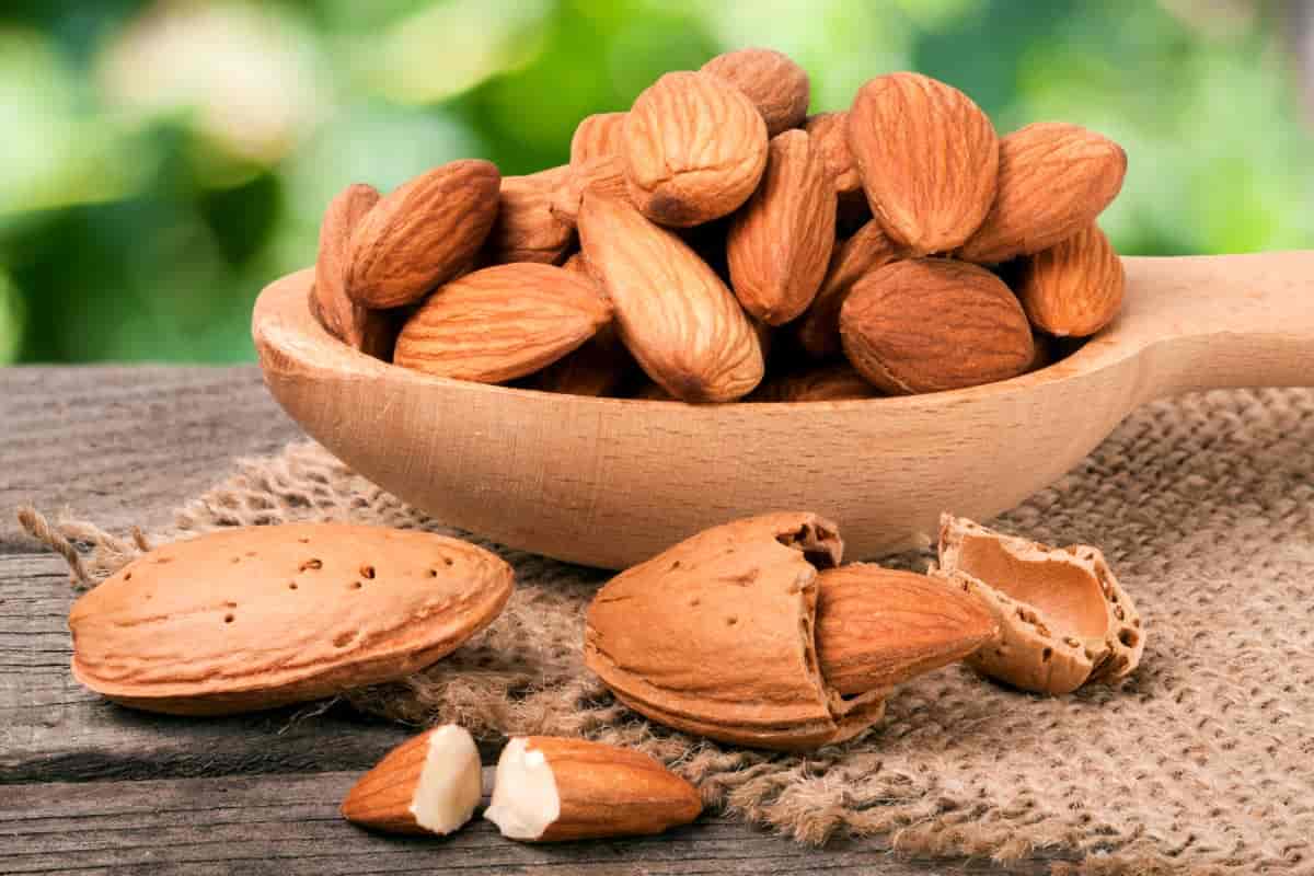 specification of raw almonds