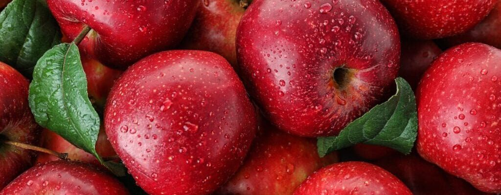 Imported Red Delicious Apple