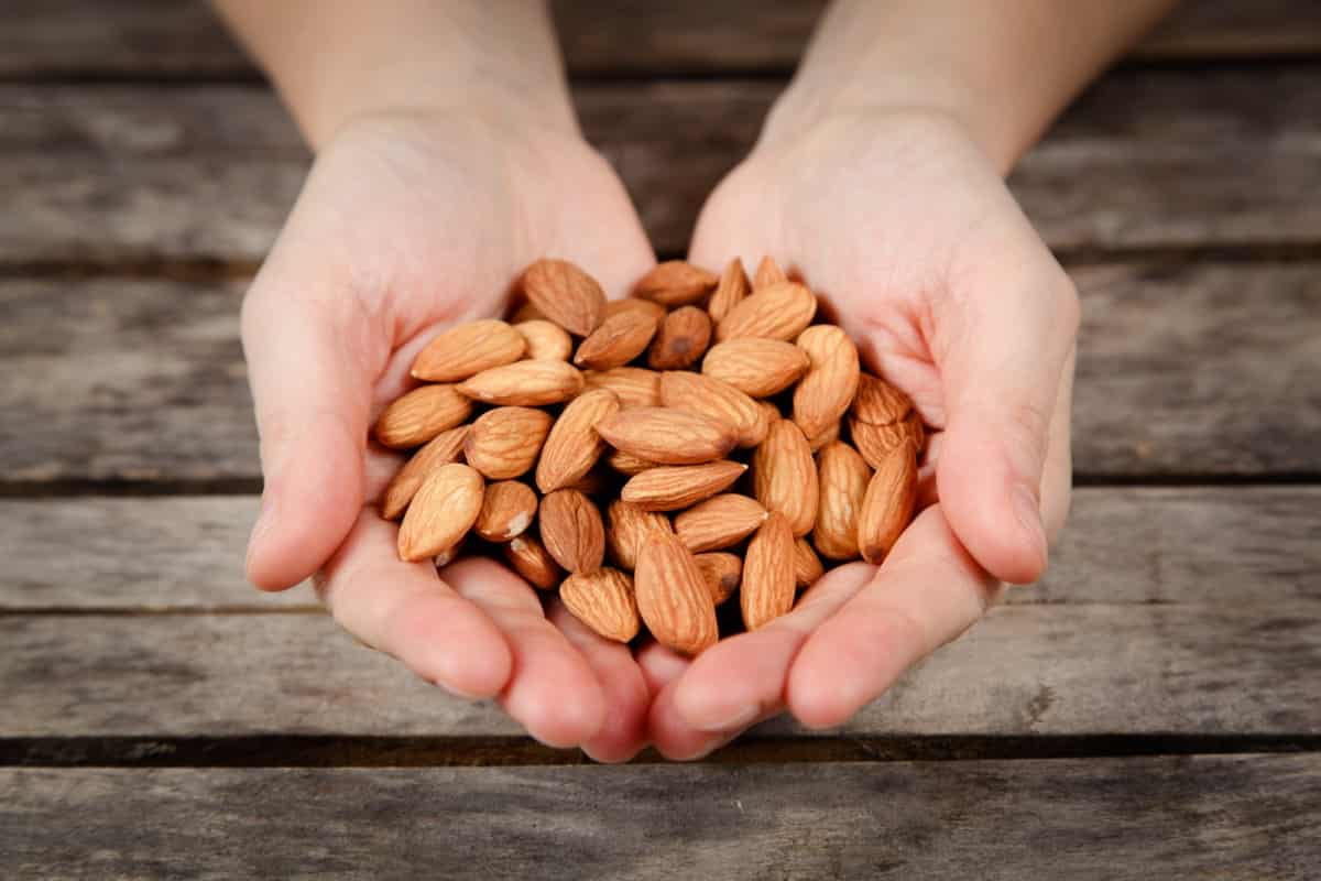 Specification of sweet almonds