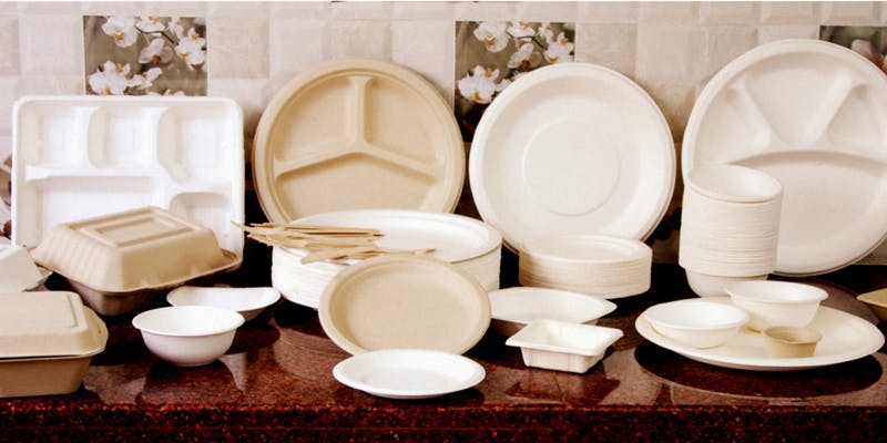 Microwave Disposable Plates