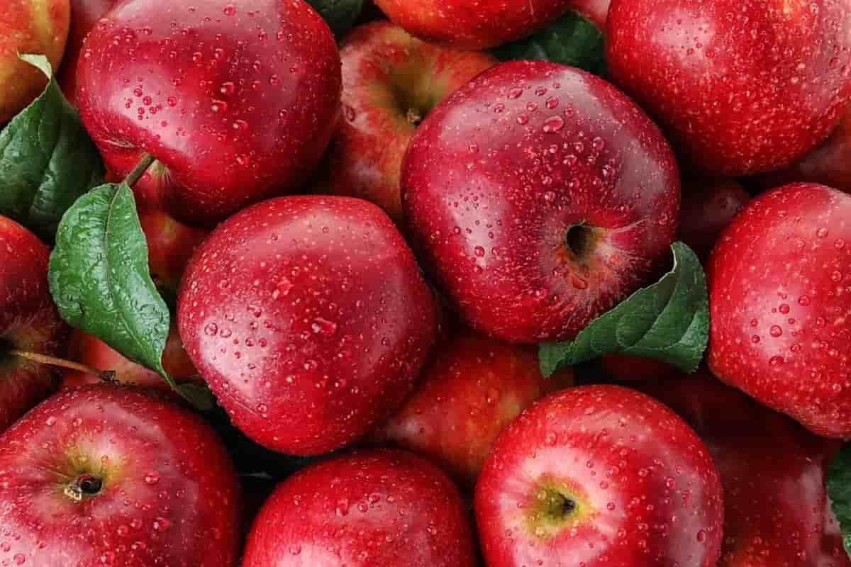 Features of red apples