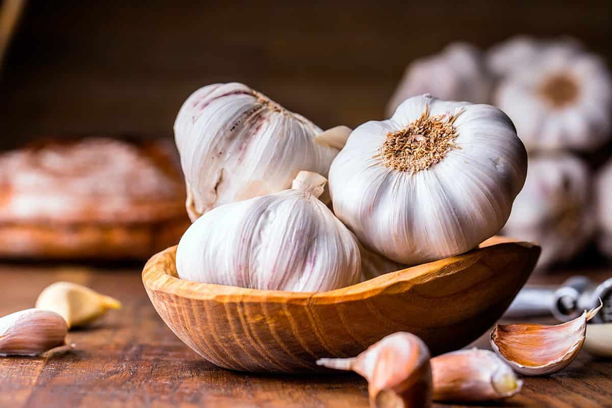 Specifications of garlic clove