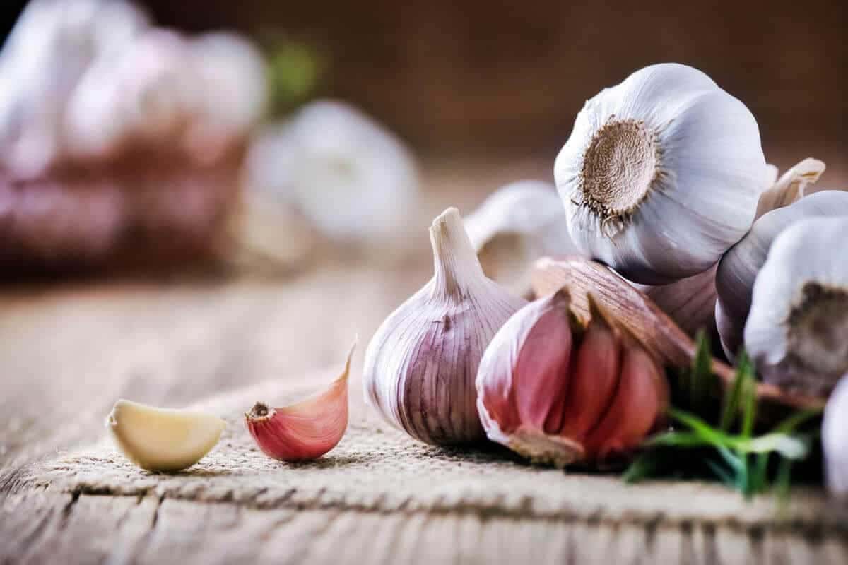 Types of garlic clove