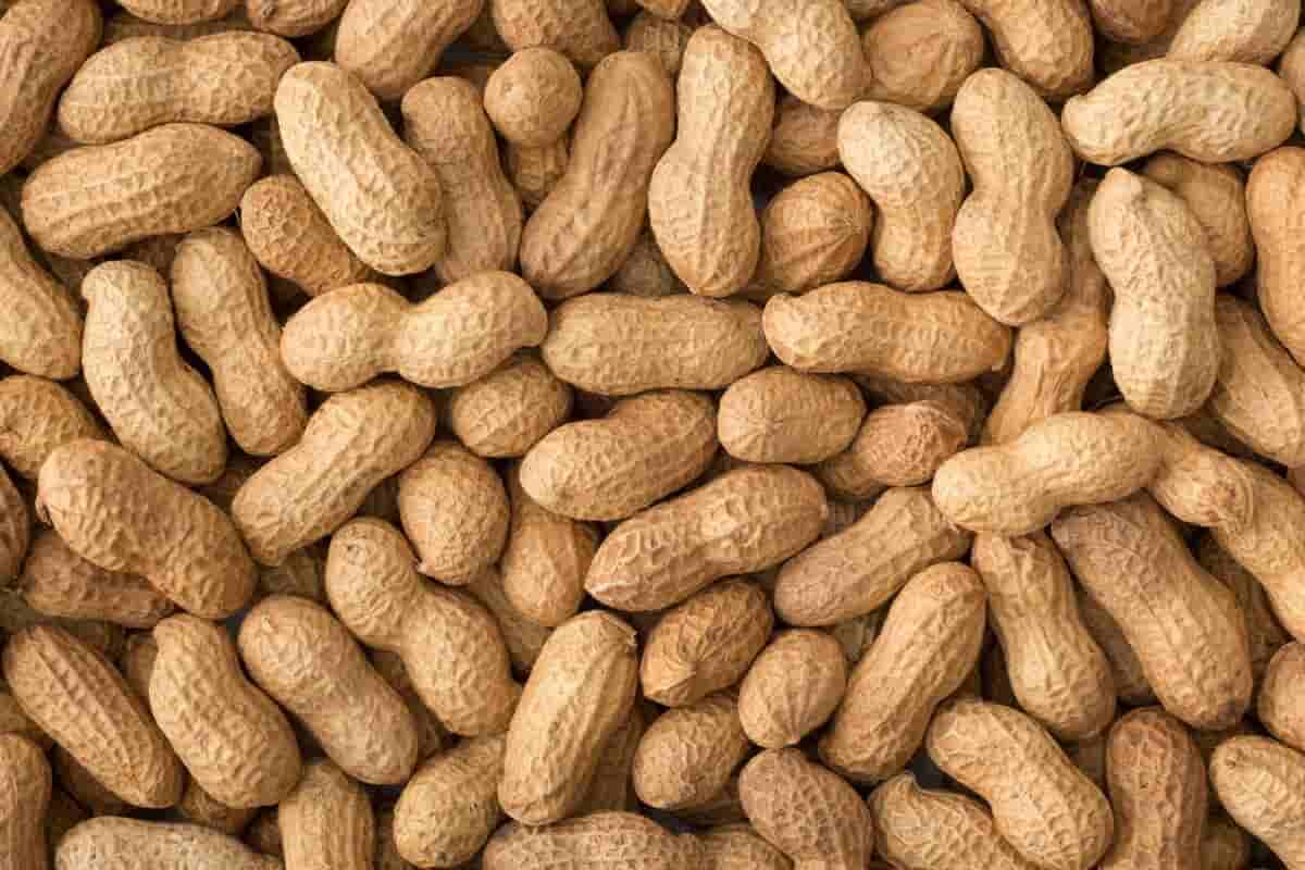 Application of peanuts