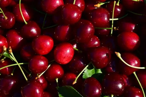 Types of  Red cherry
