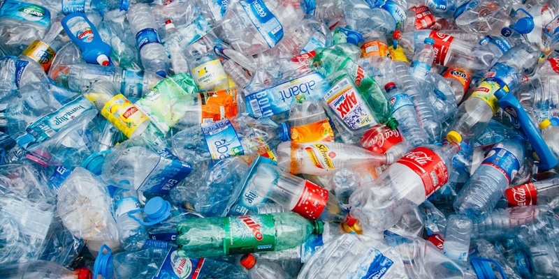 Disability of Eliminating the Plastic in Our Environment
