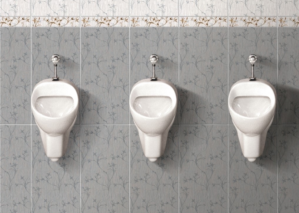 Types of Traditional Toilet