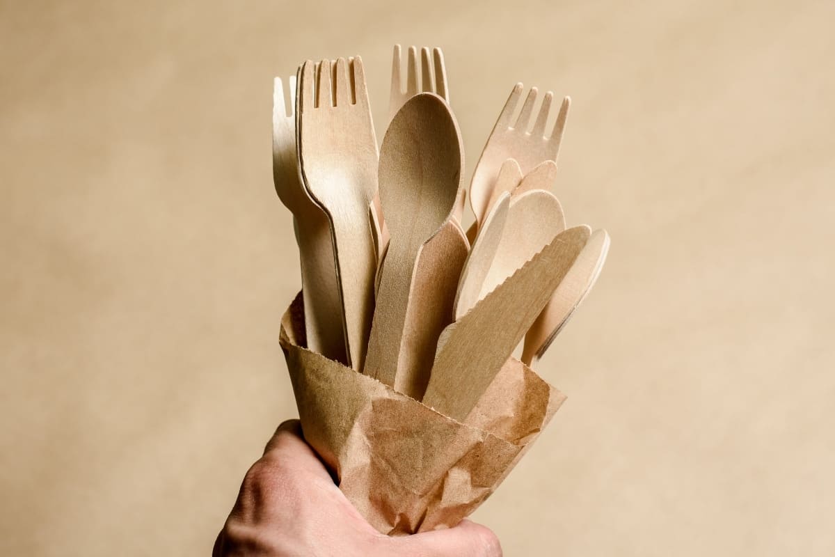 Types of disposable tableware