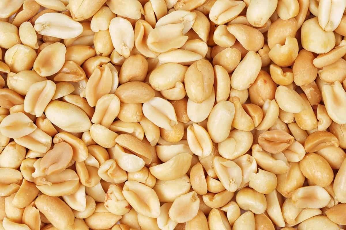 6 month old peanut allergy