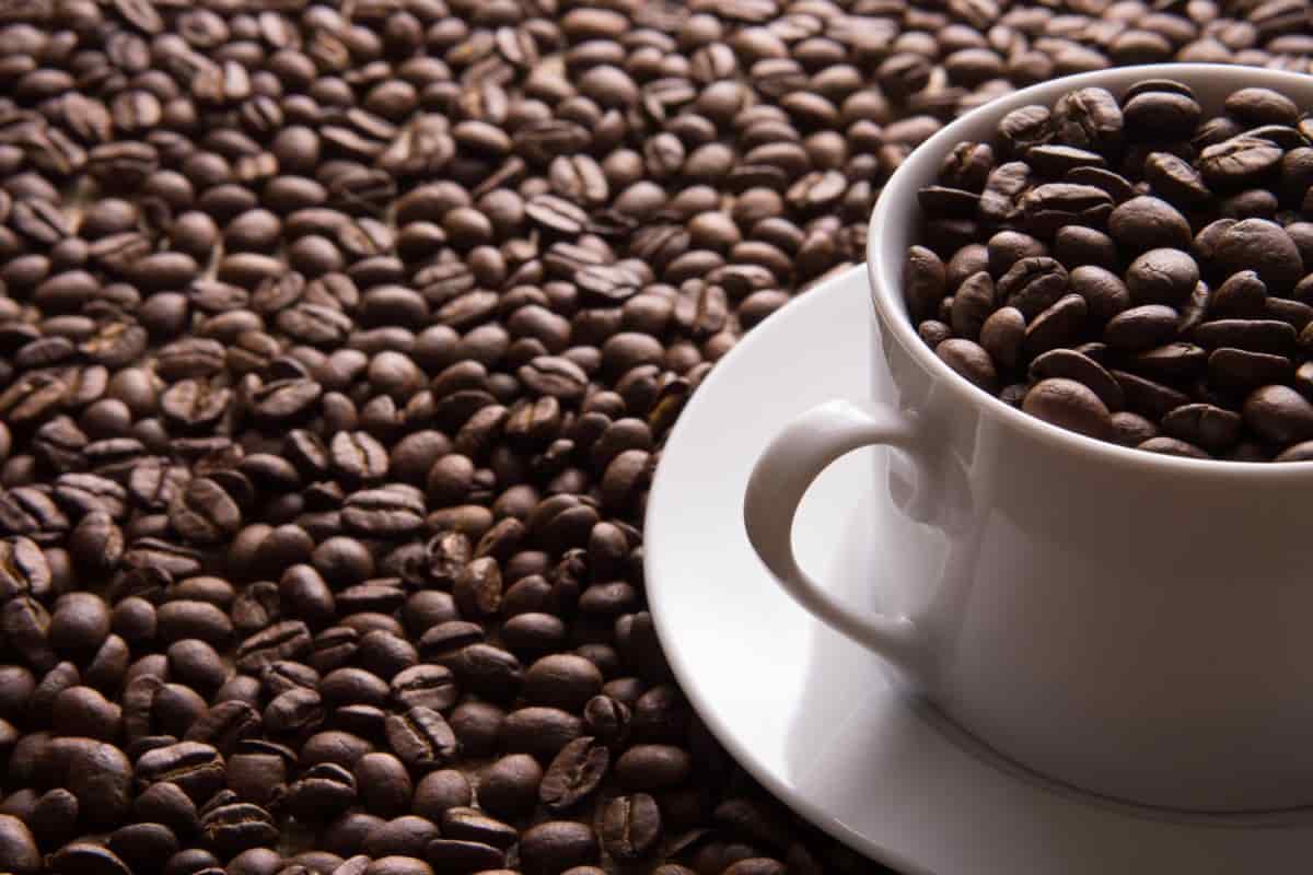 Zavida Hazelnut Vanilla Coffee Review