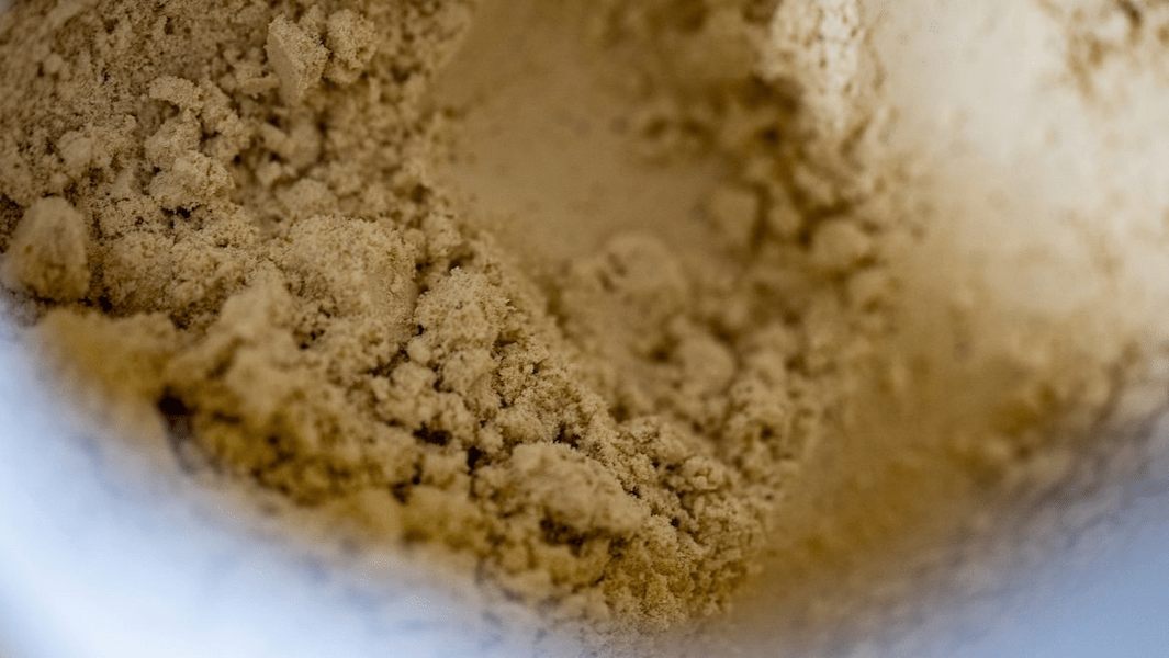 Best whey protein powder for muscle gain