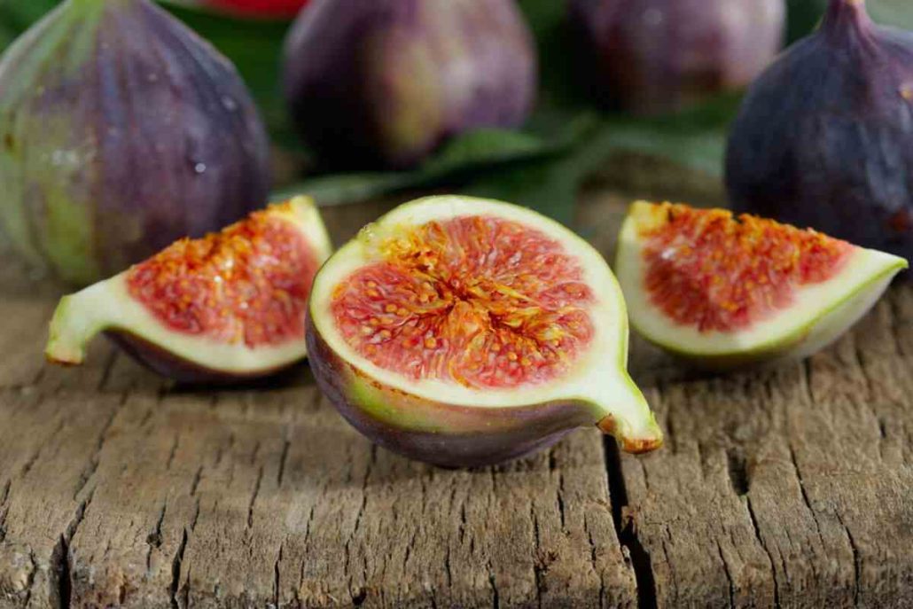 Iranian figs tree