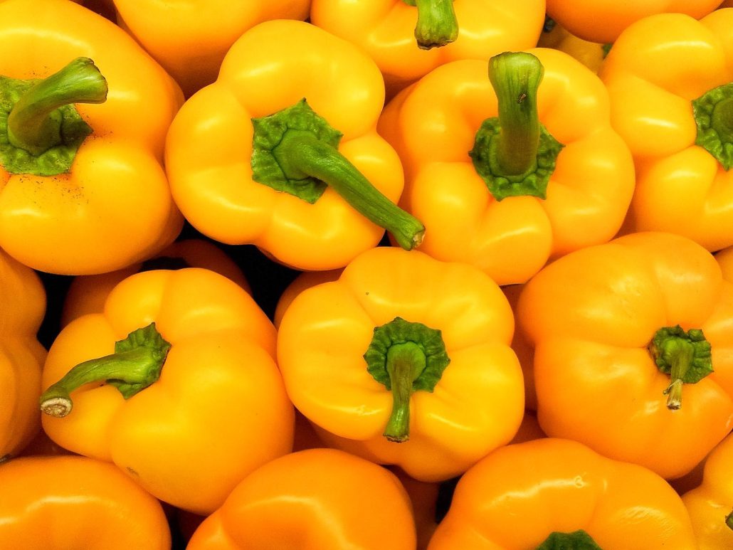 Largest Bell Pepper Variety