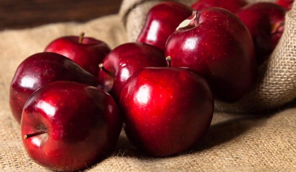 Red delicious apple disease resistance