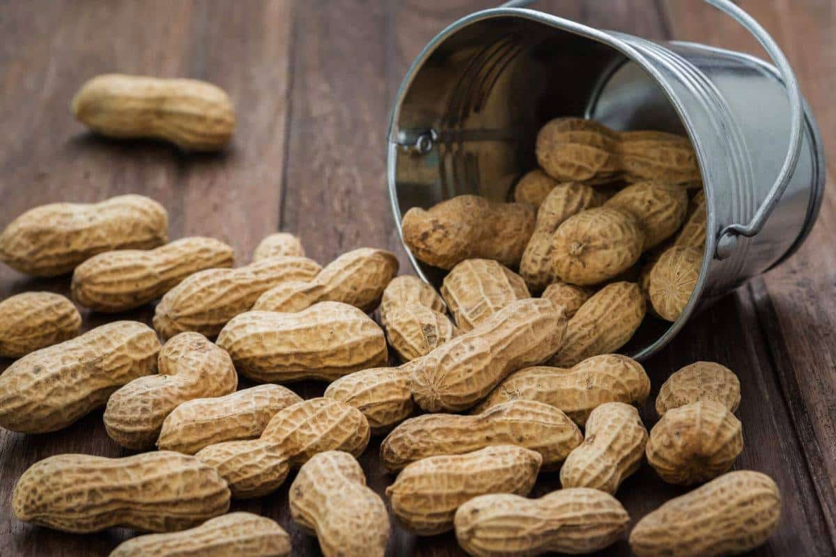 Peanut allergy in babies