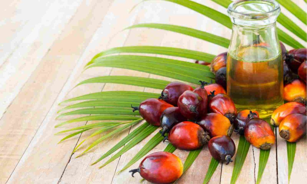 sap value of palm oil