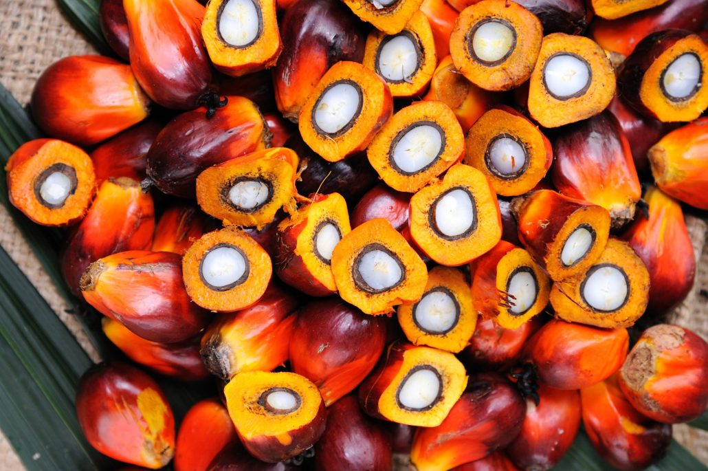sap value of palm kernel oil