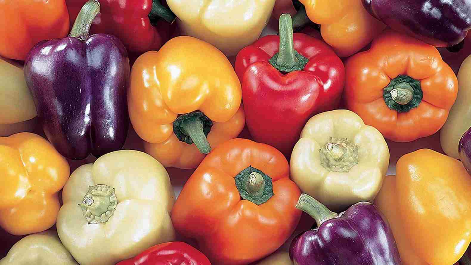 Bell pepper colors