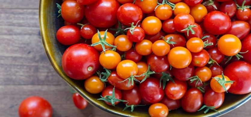 Lycopene in tomato fruits