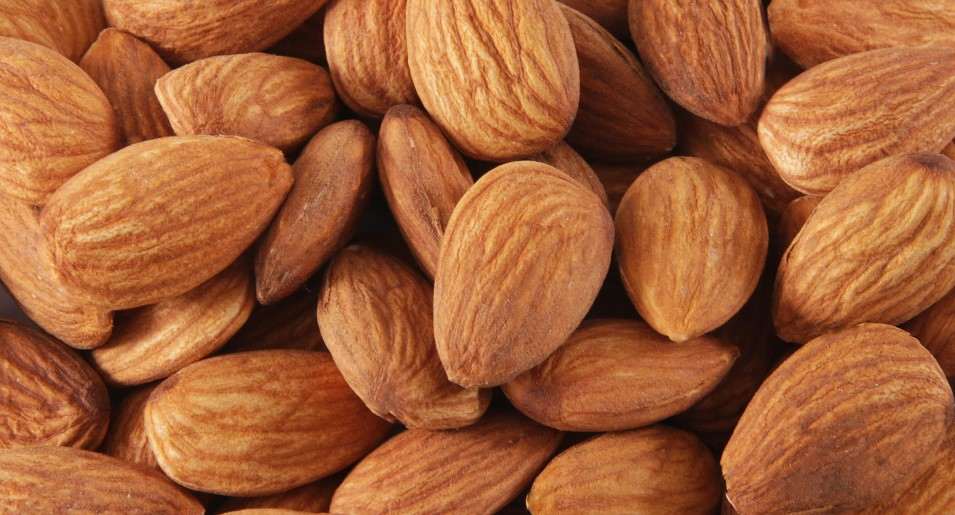 Cost of almond