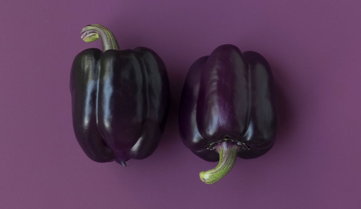 What is a purple bell pepper