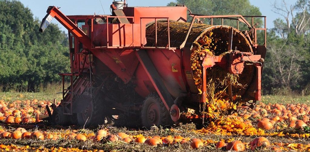 Pumpkin Farming Equipment