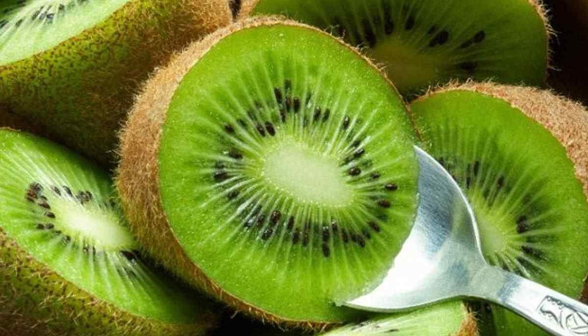Calories in Kiwi Fruit Leather