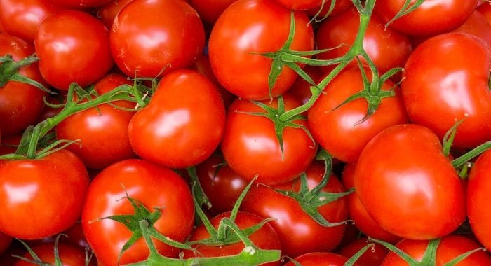 How to Make Tomato Sauce from Tomato Paste - Arad Branding