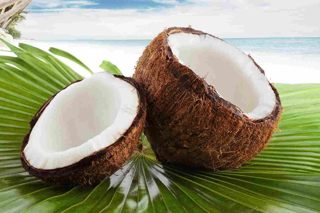 coconut palm sap