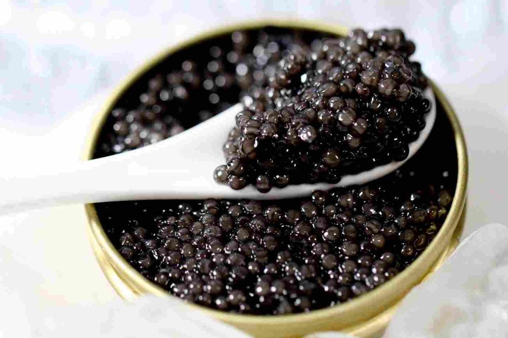 sterling caviar our farms