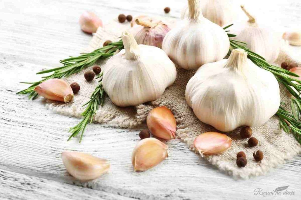 garlic oil for ear infection