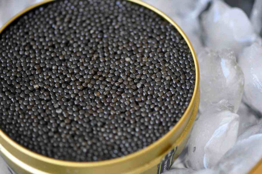 darts caviar