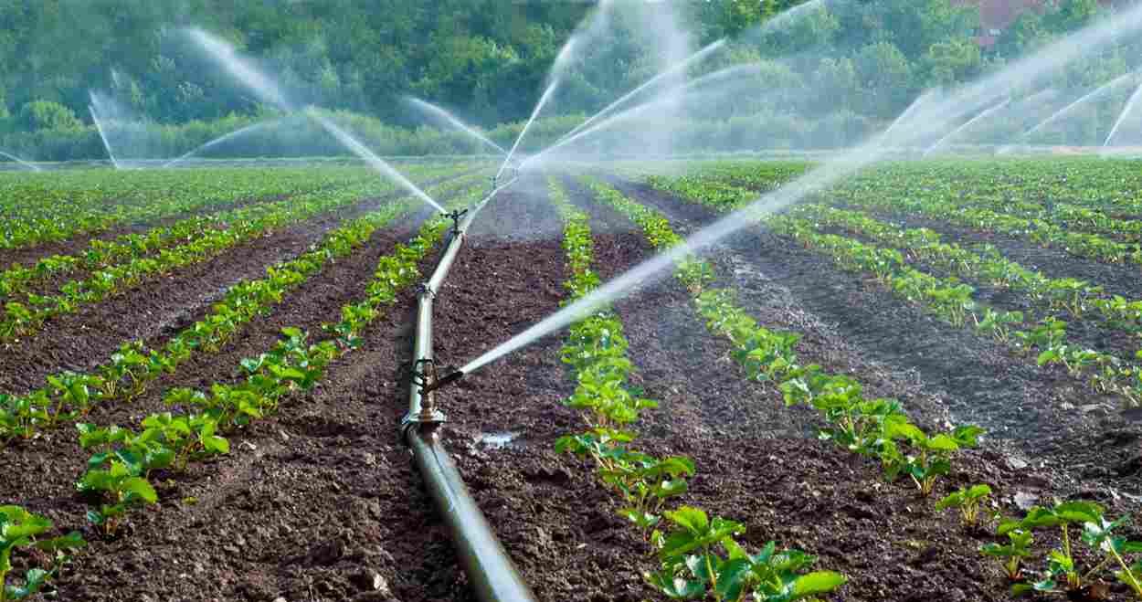 How to install drip irrigation to sprinkler system