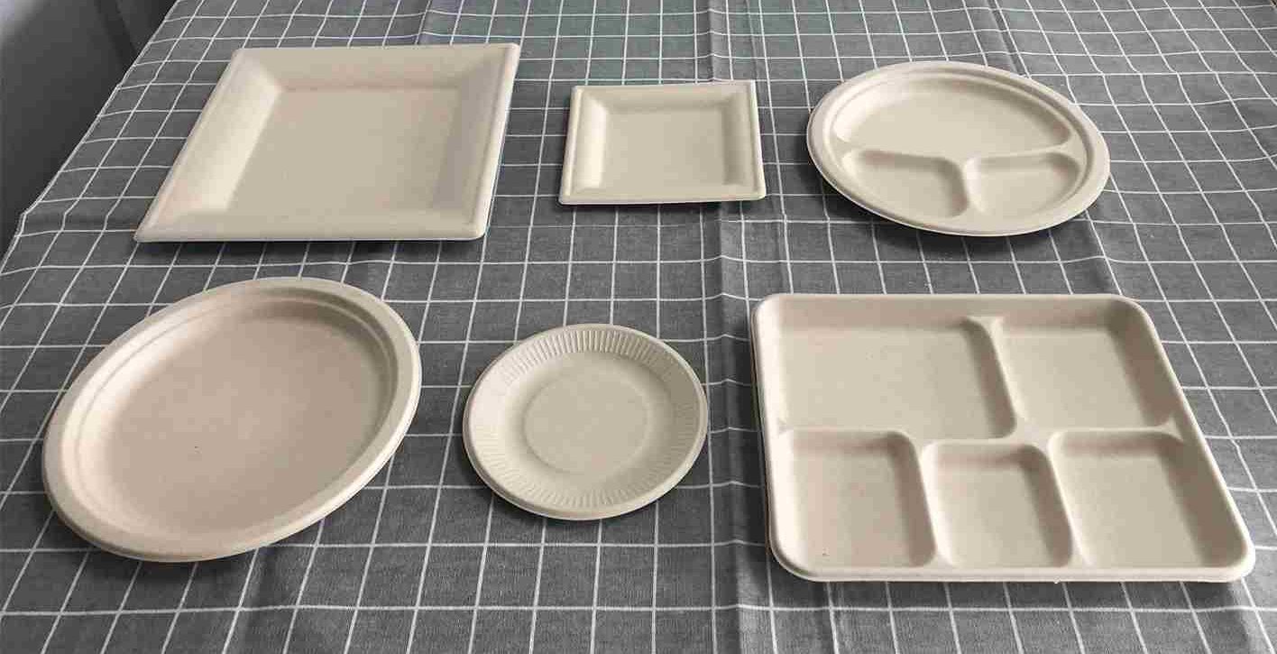 Disposable plastic plates names
