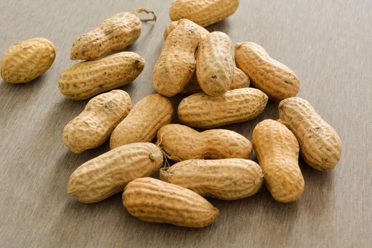 Peanut allergy test