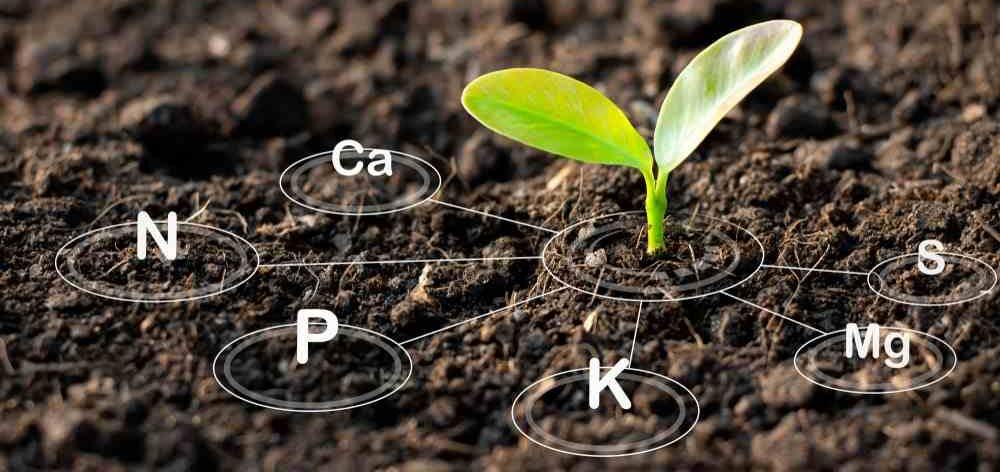 Caliche soil properties