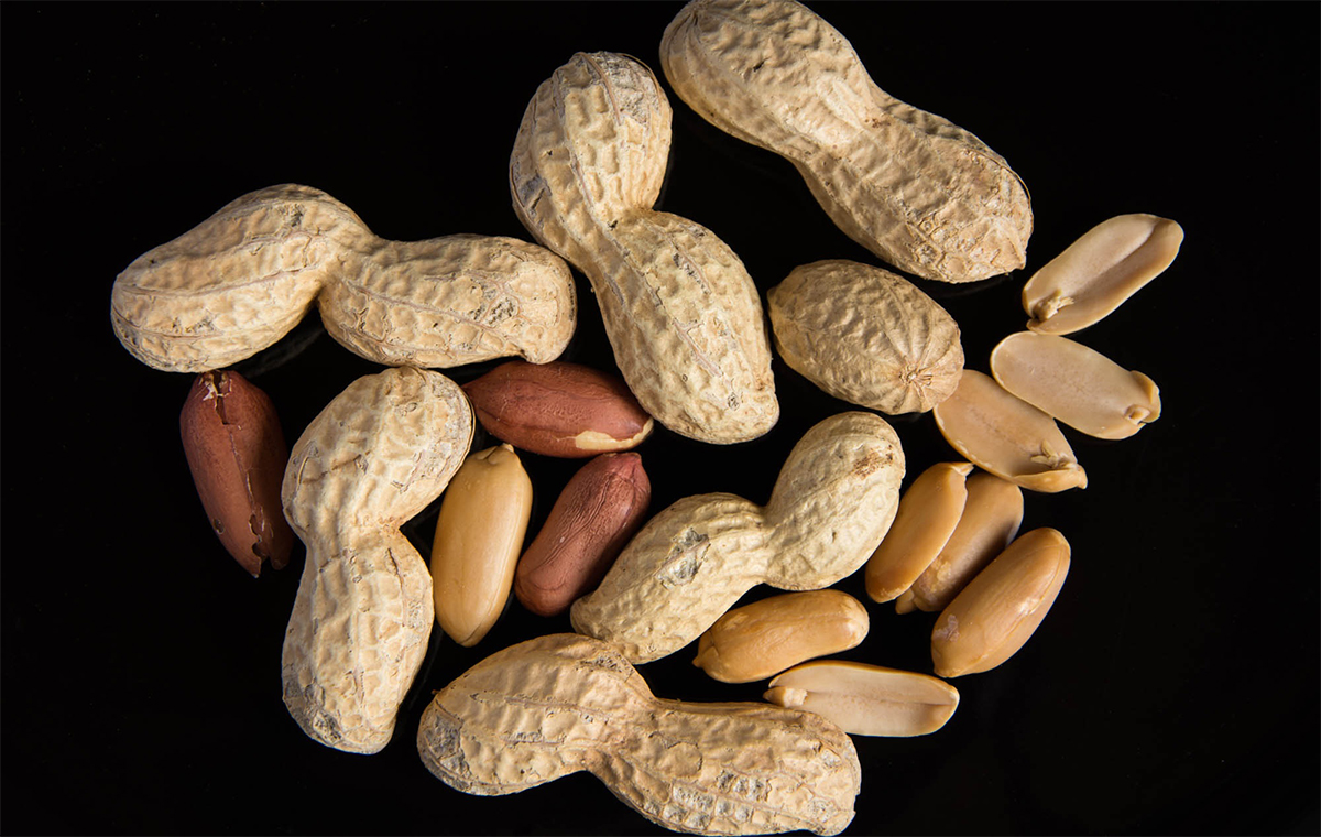 Peanut Price per Ton 2022