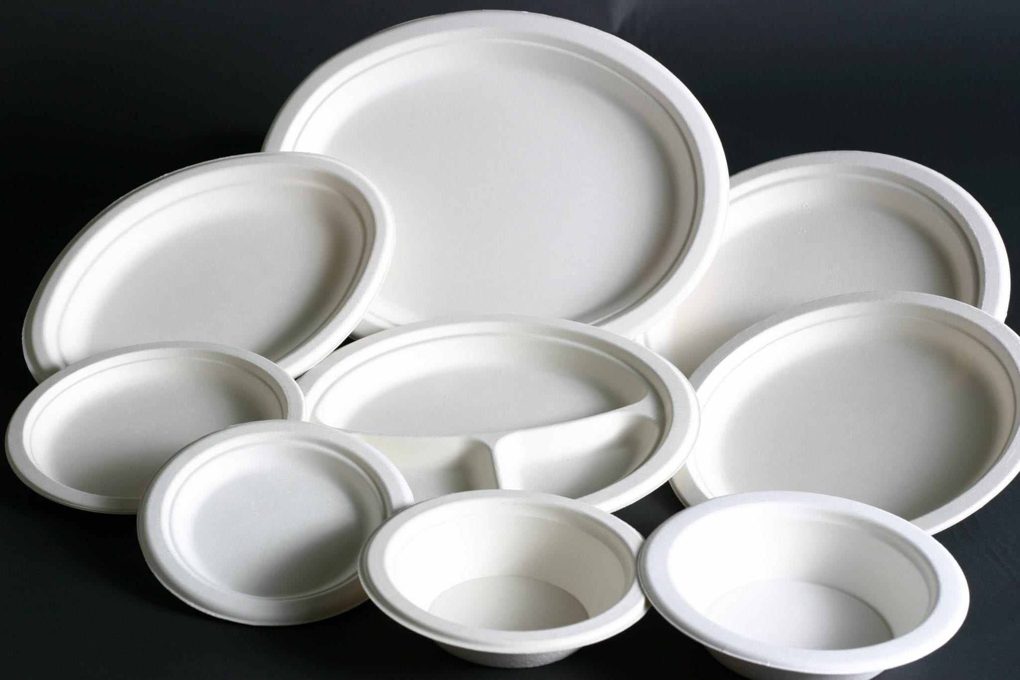 Disposable plastic plates with 6 compartments