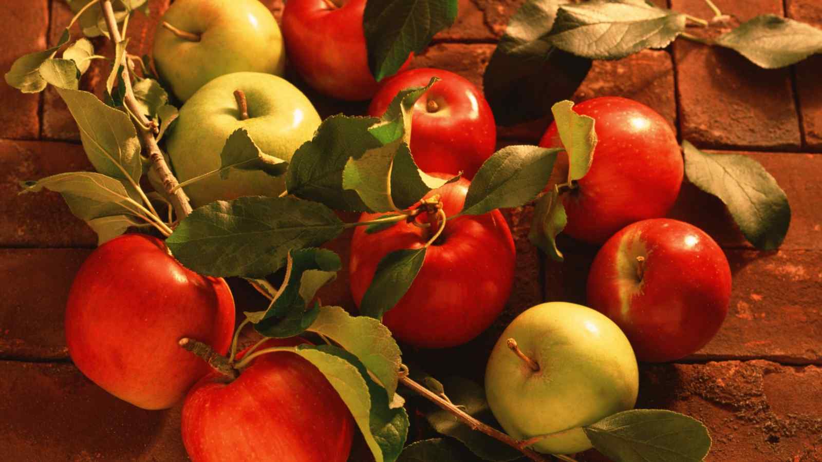 Red delicious apple recipes healthy