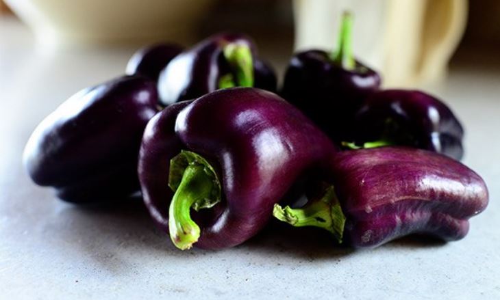 Purple bell pepper