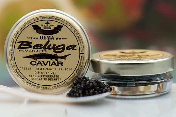 What Is Beluga Caviar