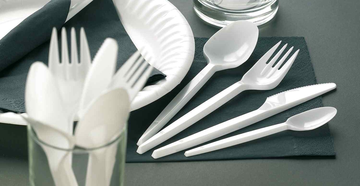 Disposable plastic plates and cutlery