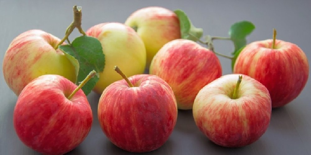 Red delicious apple export