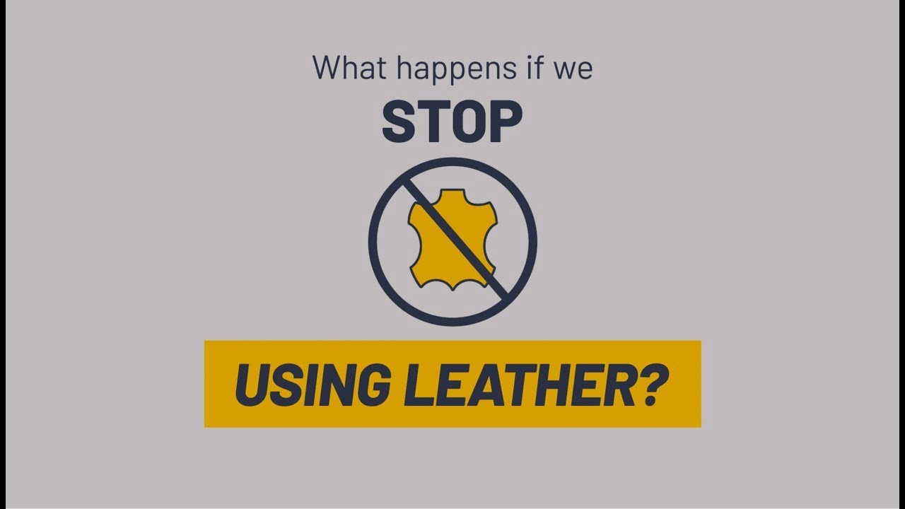 Leather Jacket Buying Guide for Women
