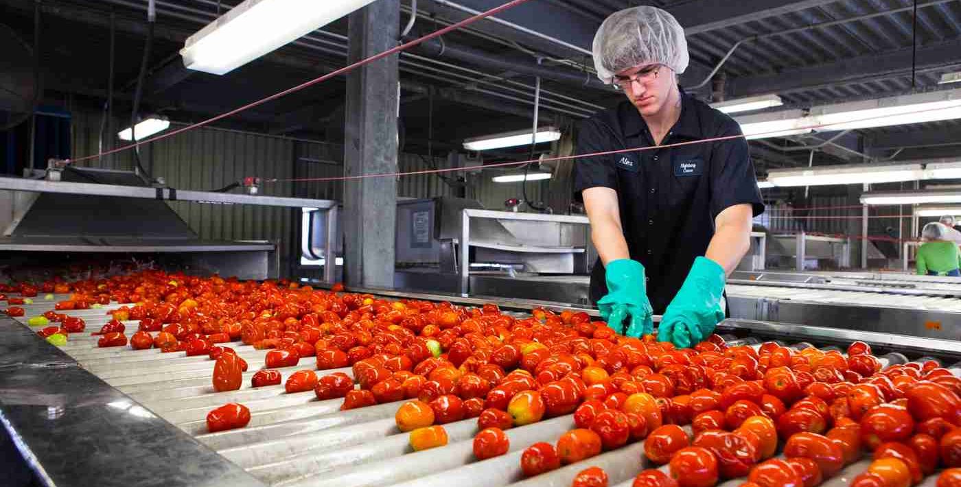 Tomato paste processing equipment
