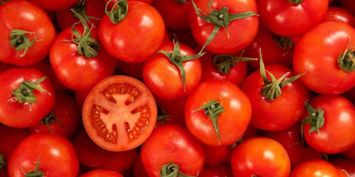 Tomato types